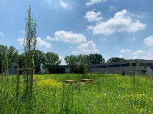 Giardino tascabile, Bomporto, vista globale | ECO esternocontemporaneo