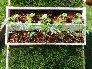 Giardini&terrazzi 2017 Eco Esternocontemporaneo vasi di fiori