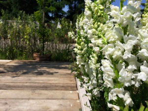 Giardini&terrazzi Eco Esternocontemporaneo 2015 dettaglio fiori