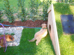 dettaglio cuccia Giardino per Cani a Giardini e terrazzi 2012 | ecoEsternocontemporaneo
