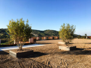 Cantina vitivinicola Tomisa under construction | ECO esternocontemporaneo