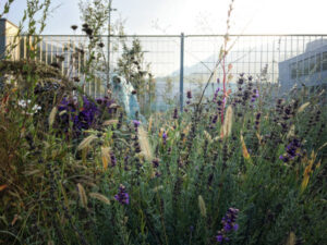 fiori Marconi Gomma | ECO-esternocontemporaneo